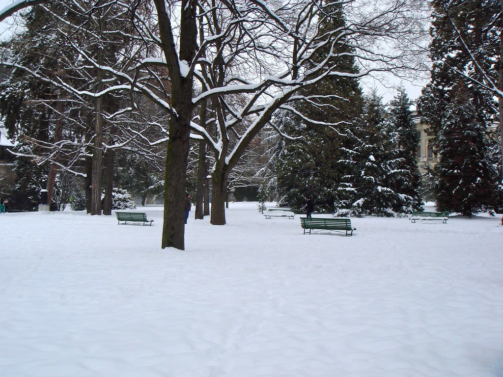 Snow in Geneva Snow in Geneva Patrick Nouhailler Flickr