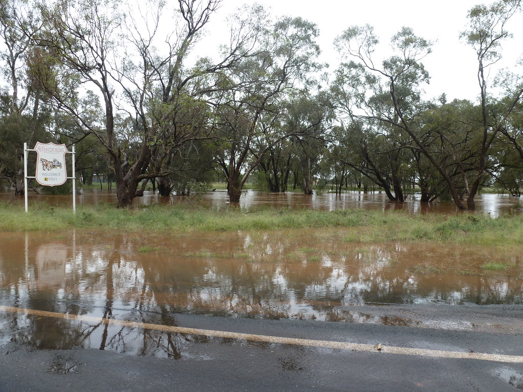 Flood waters seeping over a road in Ungarie Thanks to Stev… Flickr
