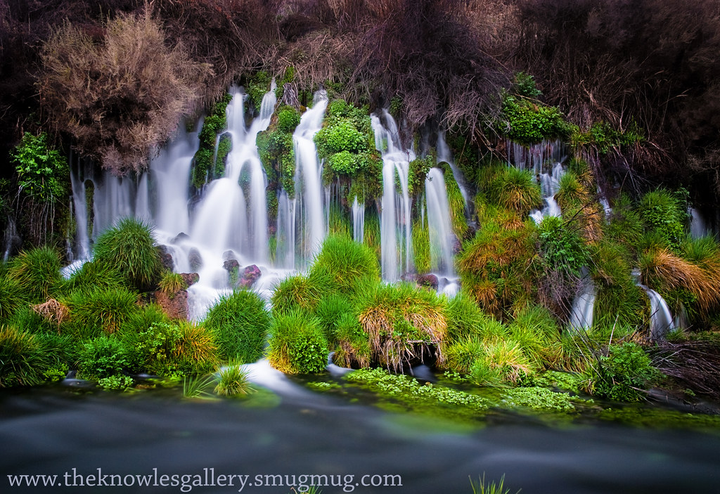 1000 Springs Hagerman Valley Idaho One of the Gems of Idah… Flickr