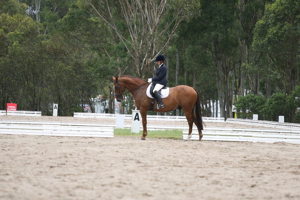 sydney equestrian centre 036 D & D Photography Flickr