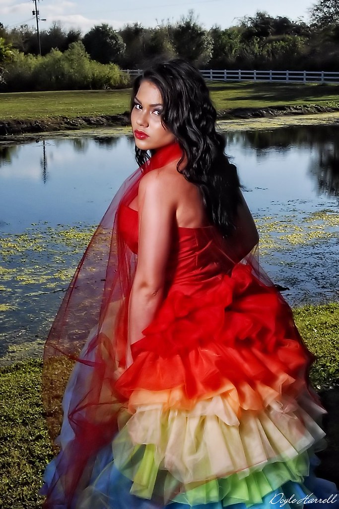 D3S_7918E DOYLE HARRELL Flickr