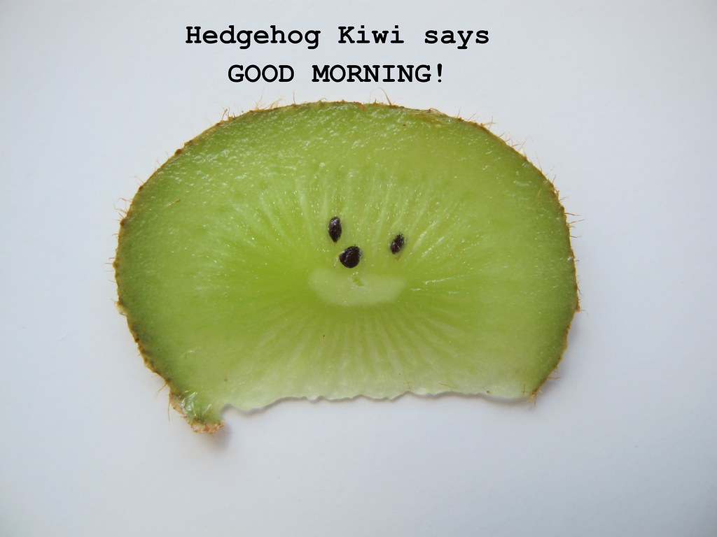 Hedgehog Kiwi Hedgehog Kiwi Kristie Chevitanondr Flickr