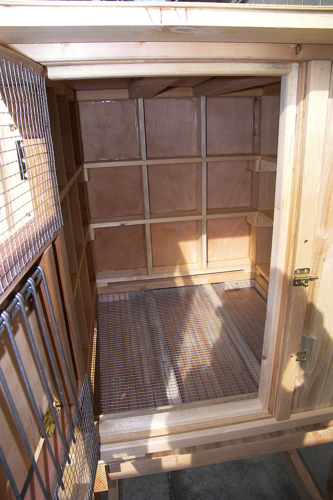 Birmingham roller pigeon kit box Birmingham roller pigeon … Flickr