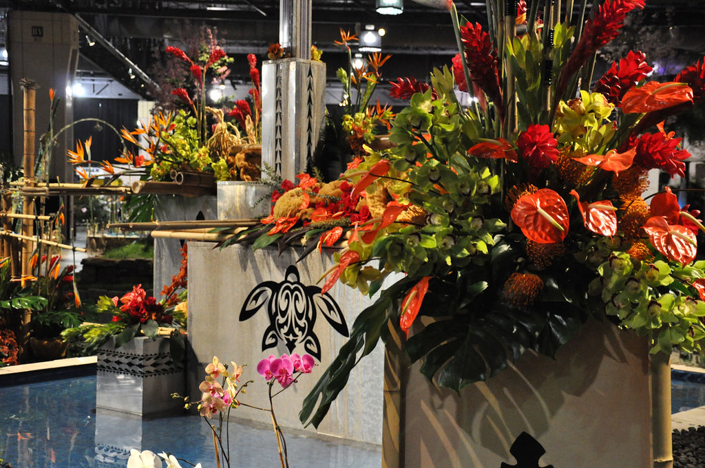 20120309_083flowersbydavid Flowers by David. Philadelphi… Flickr