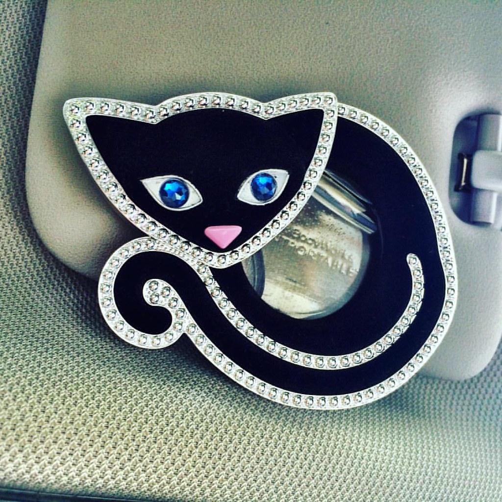 My new air freshener holder for my car. I love it! Flickr