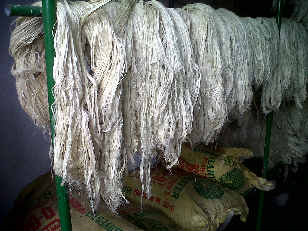 Pineapple Fibre Flickr