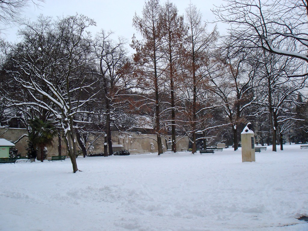 Snow in Geneva Snow in Geneva Patrick Nouhailler Flickr