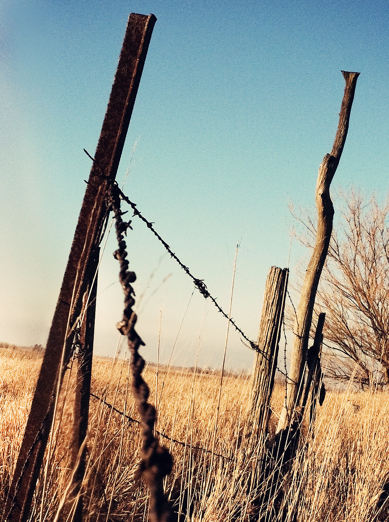 When you can’t change the direction of the wind — adjust y… Flickr
