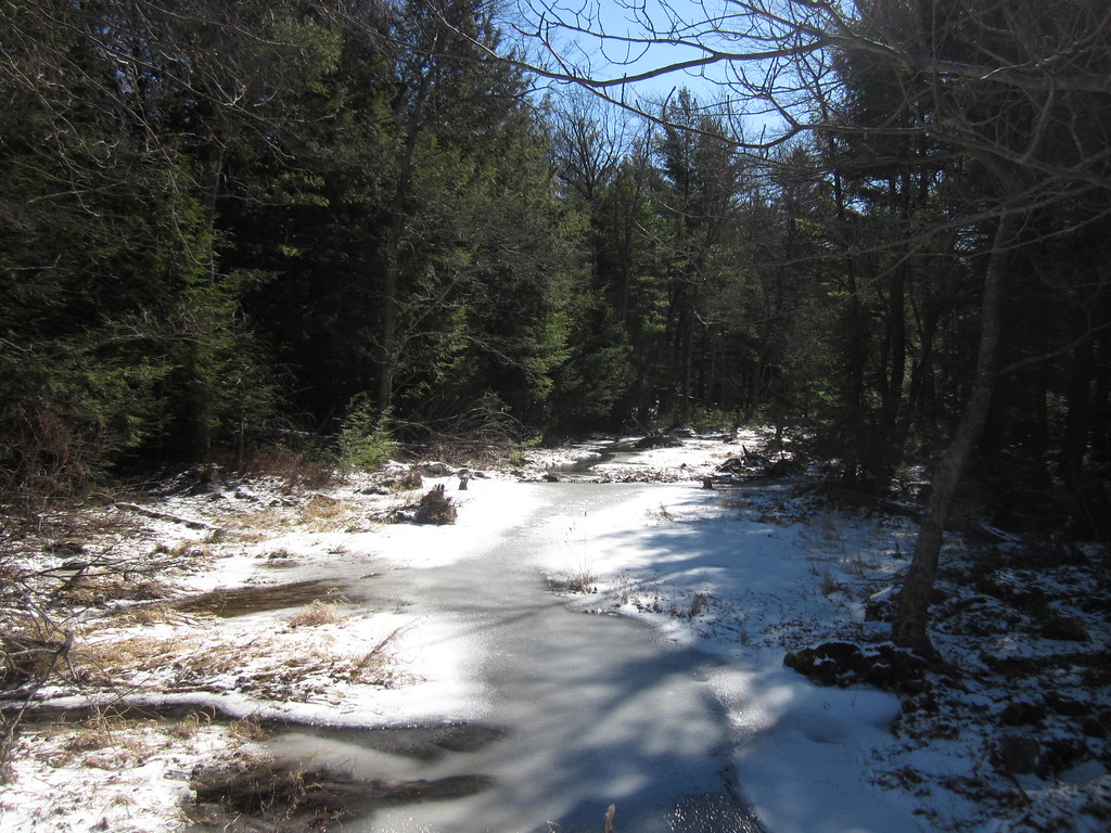 Dyken Pond Environmental Education Center New York Flickr