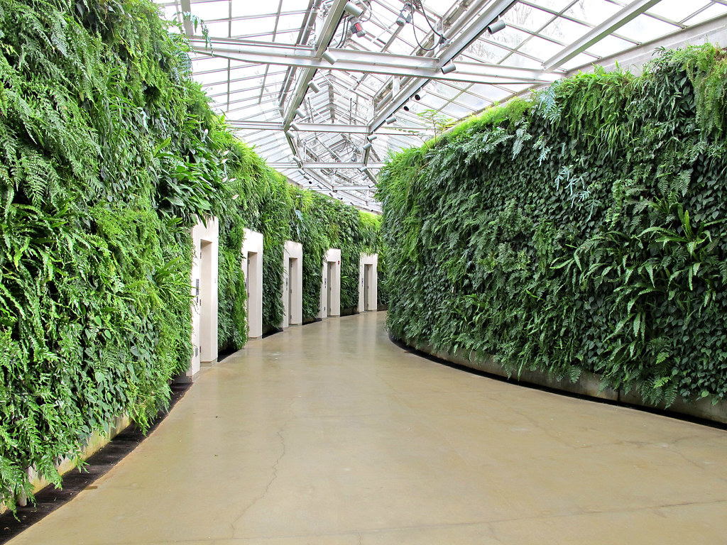 Green Wall, Restroom area, Longwood Gardens IMG_7941 Flickr