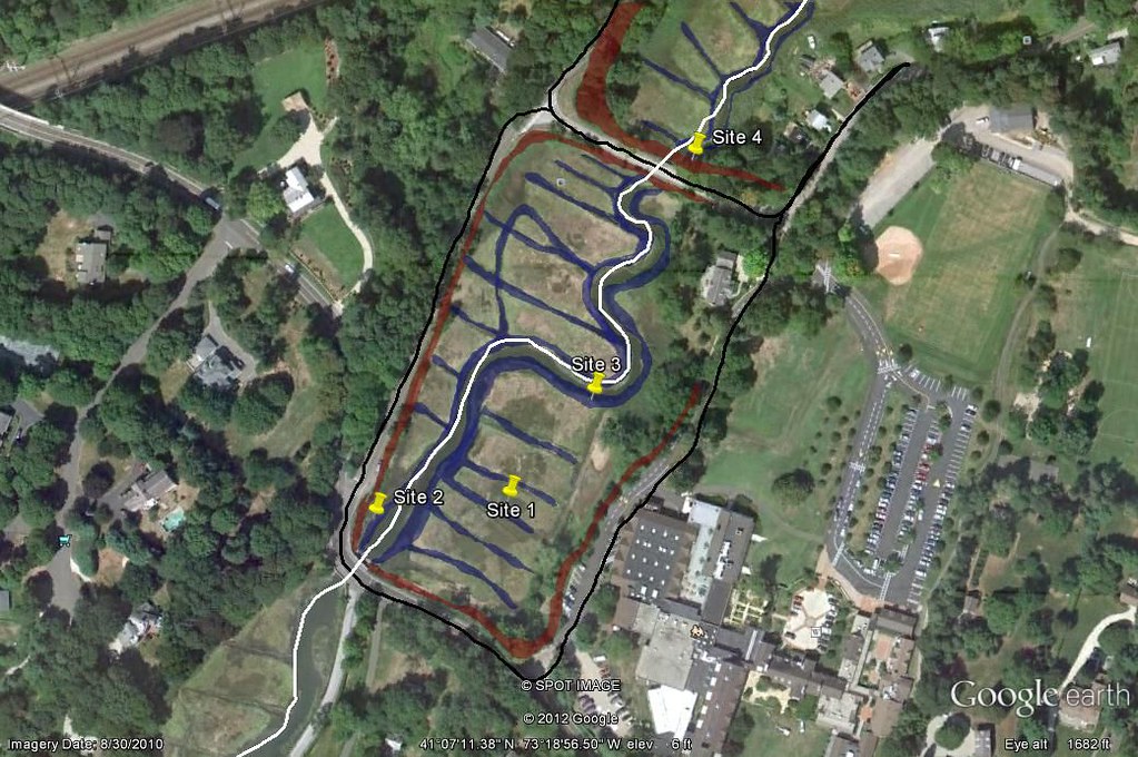 New Creek Salt Marsh New Creek Salt Marsh's main source of… Flickr