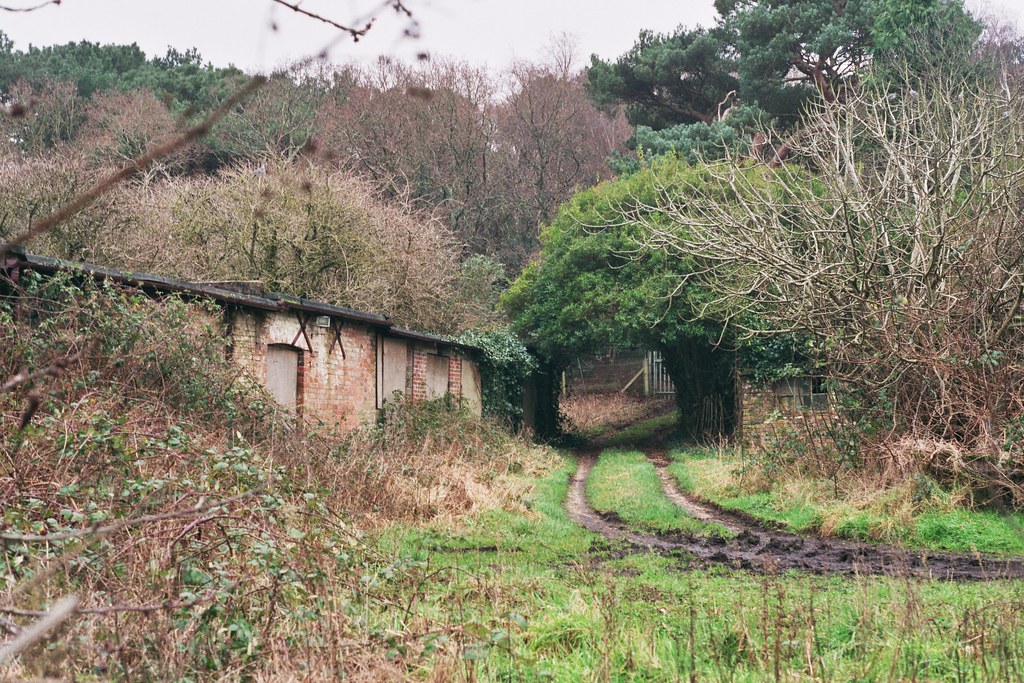 Near Boundary Road, Bournemouth greeneggsnsam Flickr