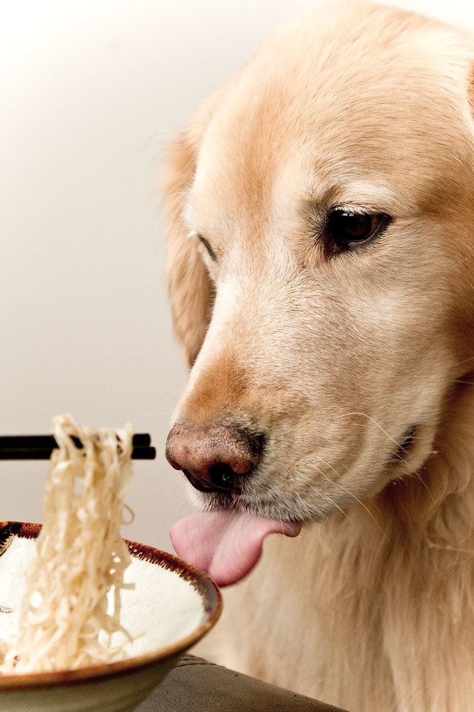 (7/52) Eating his favorite noodles Every now and then we g… Flickr