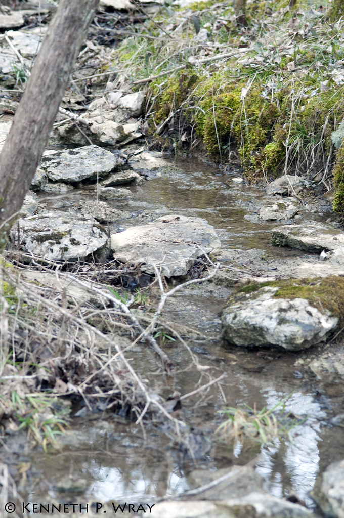 Limestone Creek A limestone creek in north central, Tennes… Flickr