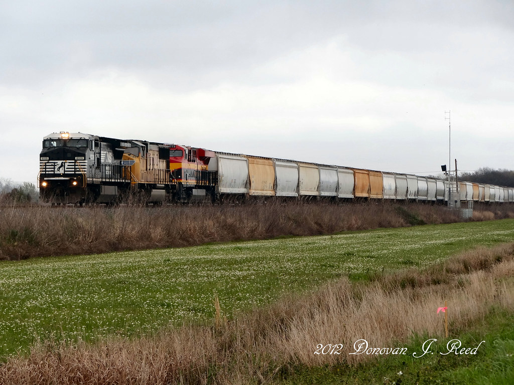 NS 8339 / Duson, Louisiana Former Conrail Donovan Reed Flickr