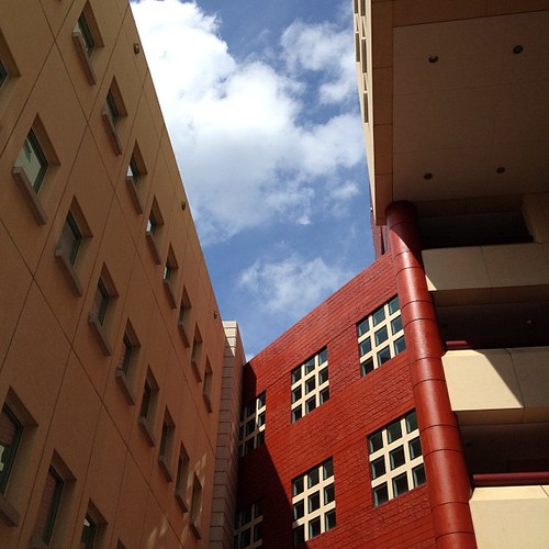 MiamiDade Community College Wolfson Campus Ines HegedusGarcia