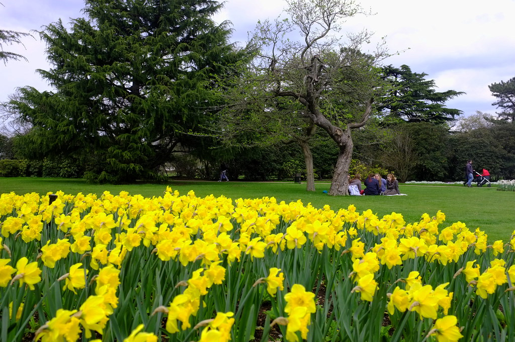 Peace, Greenwich Park Flower Gardens, by Barrie London Flickr