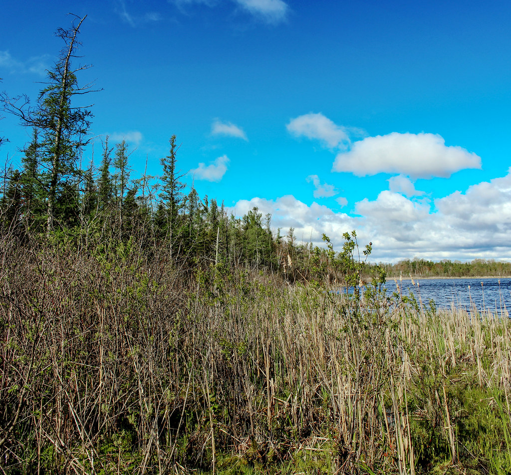 Spruce Lake Bog State Natural Area Fond du Lac Co., WI Aaron