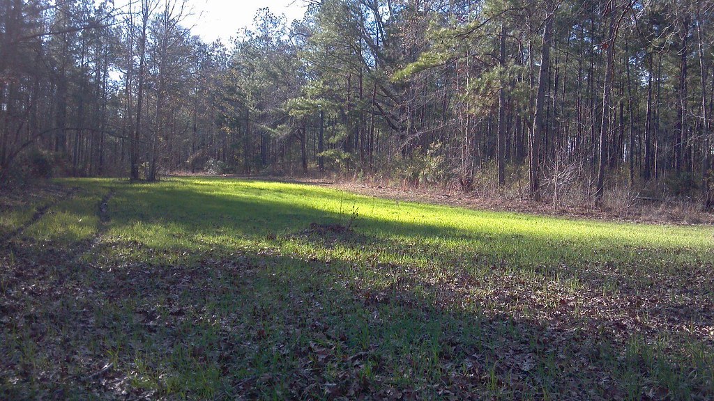 IMG_3962 Black Creek Plantation Flickr