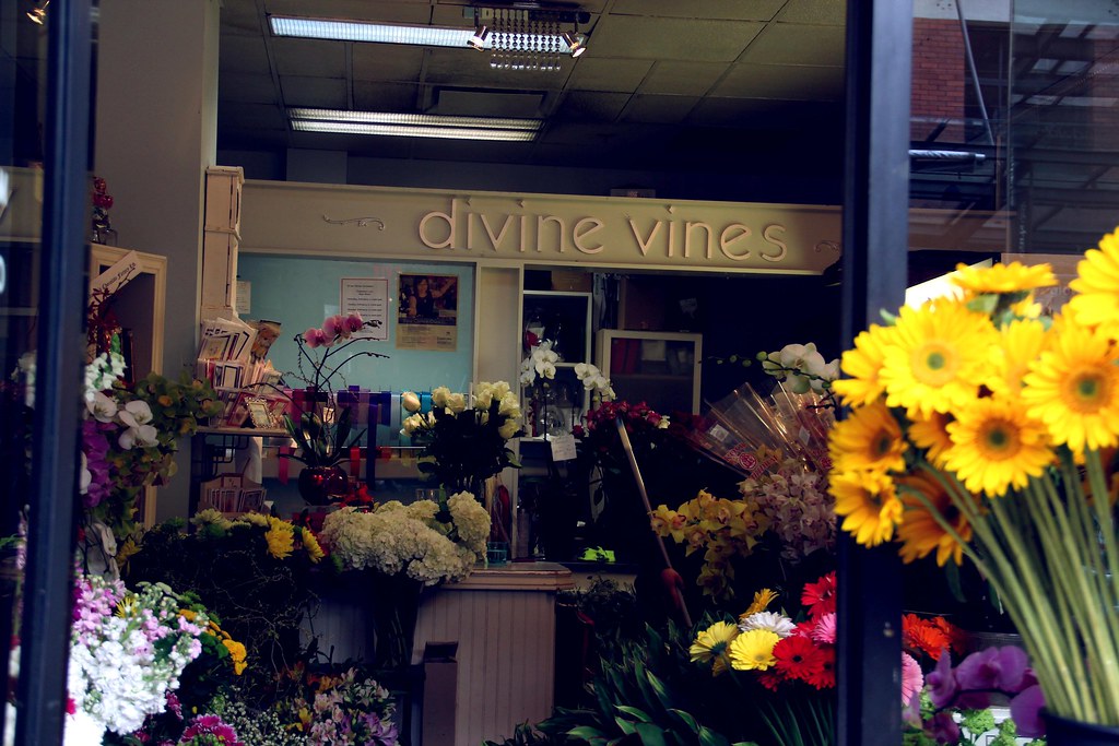 Divine Vines Florist Flowers at www.divinevines.ca Yaletown BIA