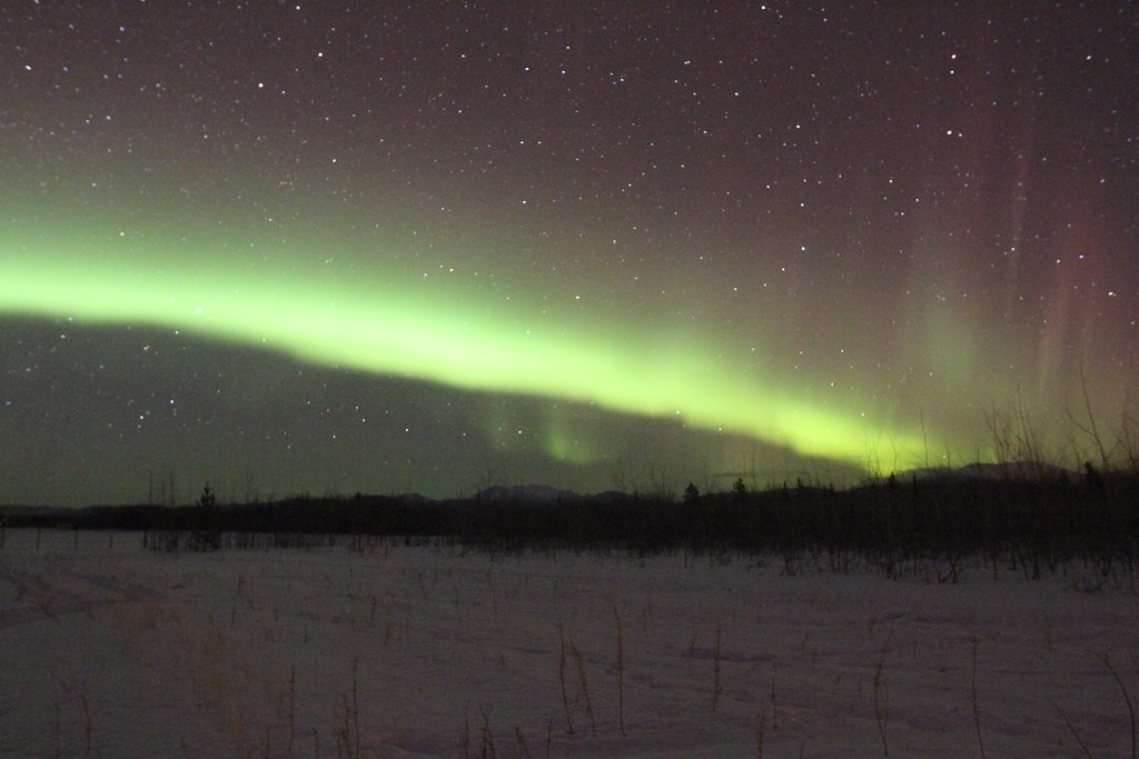 Aurora Borealis the northern lights. Whitehorse, Yukon T… Flickr