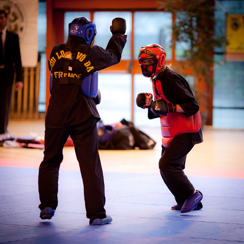 Arts Martiaux Vietnamiens Coupe Inter Régionale Arts Marti… Flickr