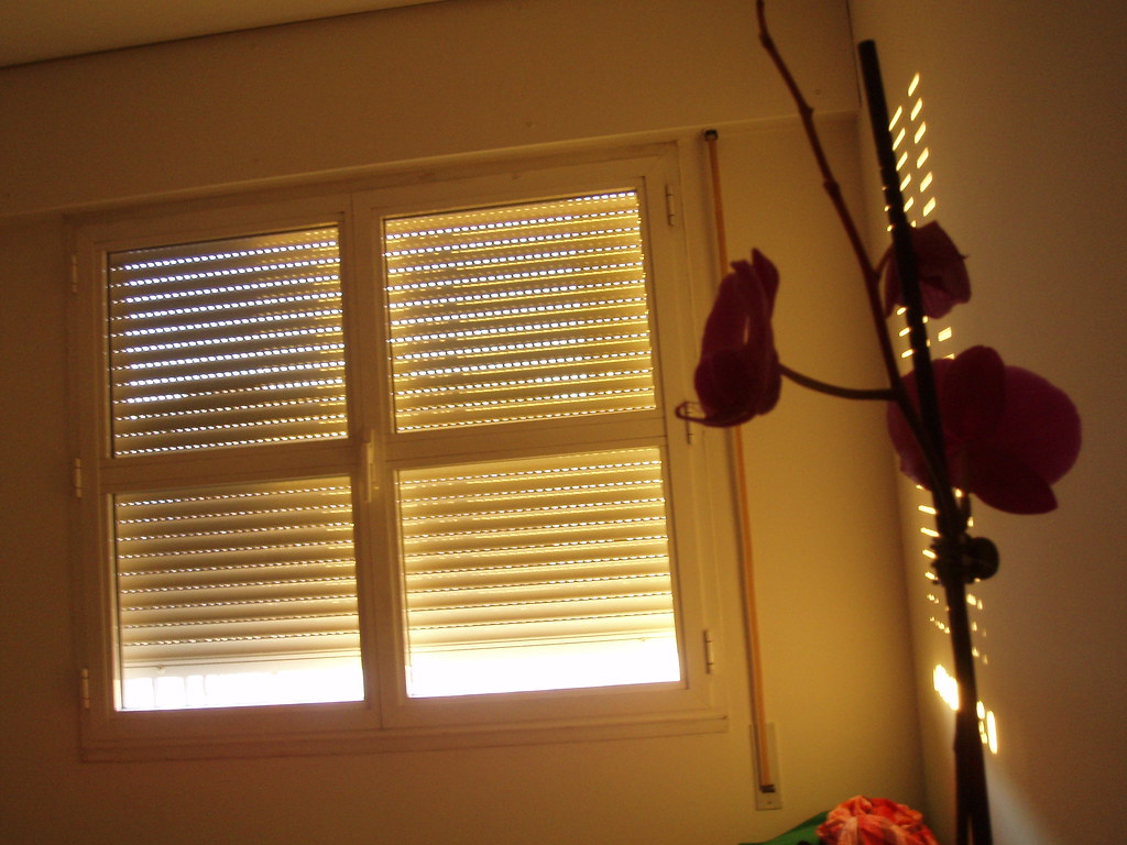 Madrid, San Mateo Antonio Anson Flickr