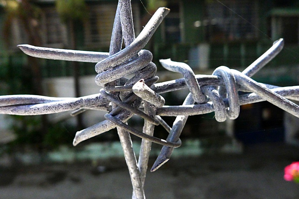 Barbed Wire Kisses NBNoel Flickr