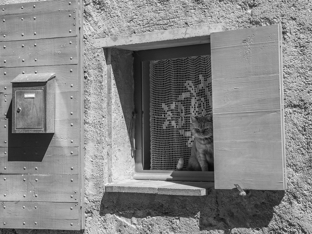 BuislesBaronnies Diego Certuche Flickr