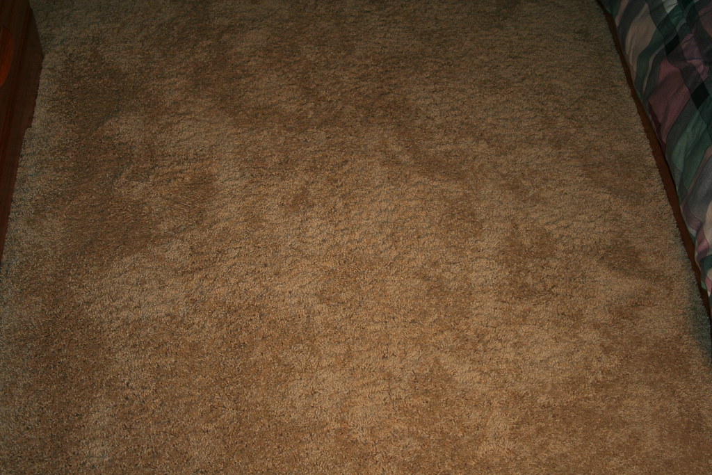 IMG_3241 Shaw Tuftex Flaxseed FriezeAnso Nylon Bedroom 3 … Flickr