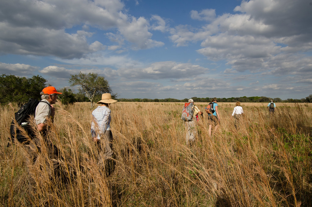 Lykes Ranch Permission from Lykes Ranch required prior to … Flickr