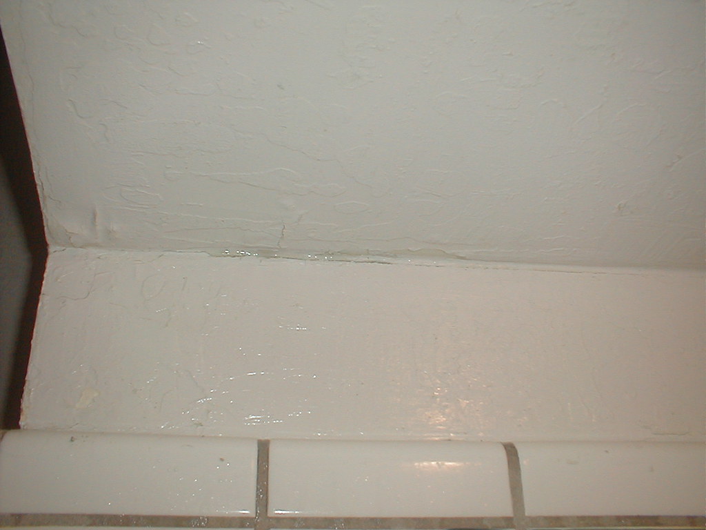 Moldy, Peeling Paint. Bathroom OLYMPUS DIGITAL CAMERA Flickr