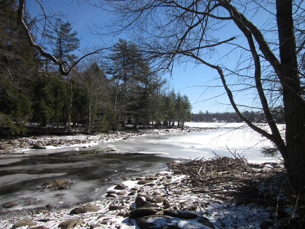 Dyken Pond Environmental Education Center New York Flickr