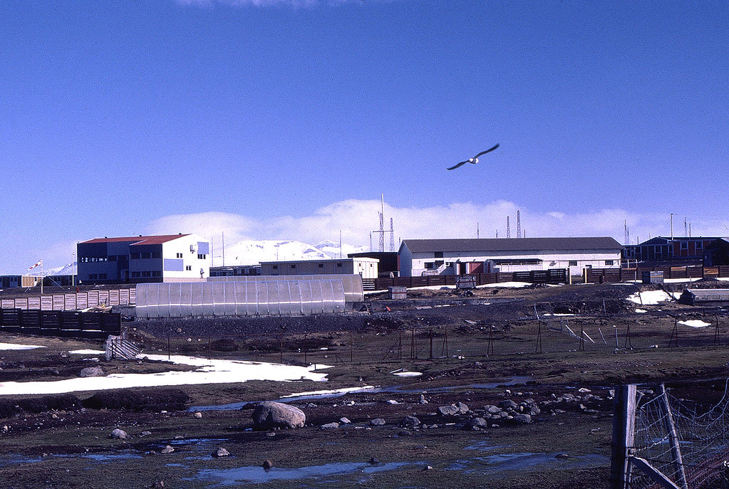 1987 Port aux français Au premier plan , les serres puis… Flickr