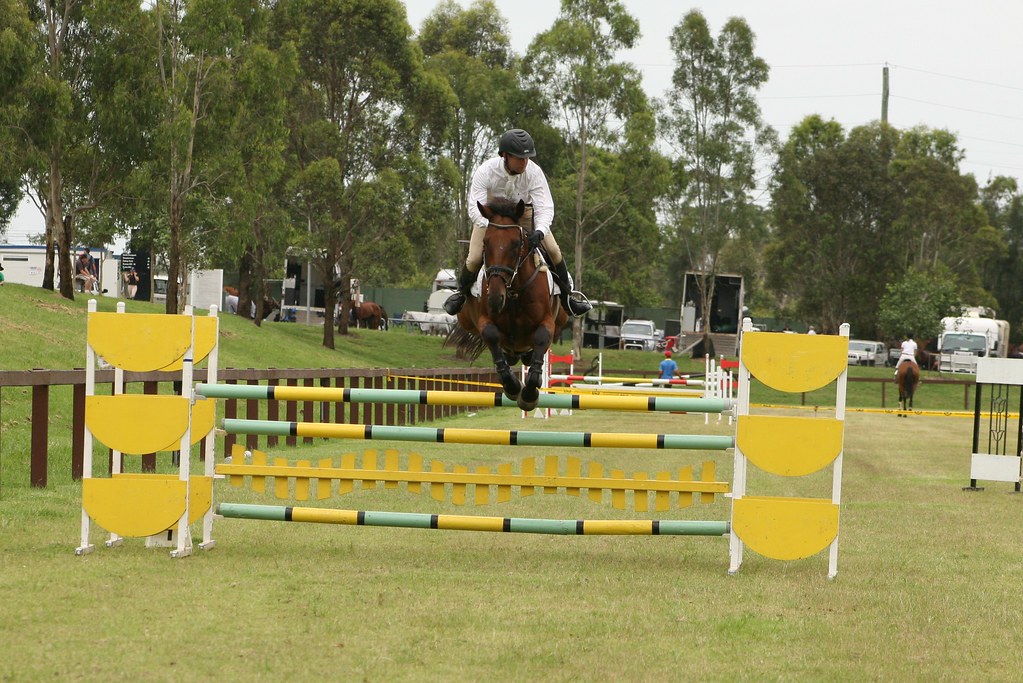 sydney equestrian centre 146 D & D Photography Flickr