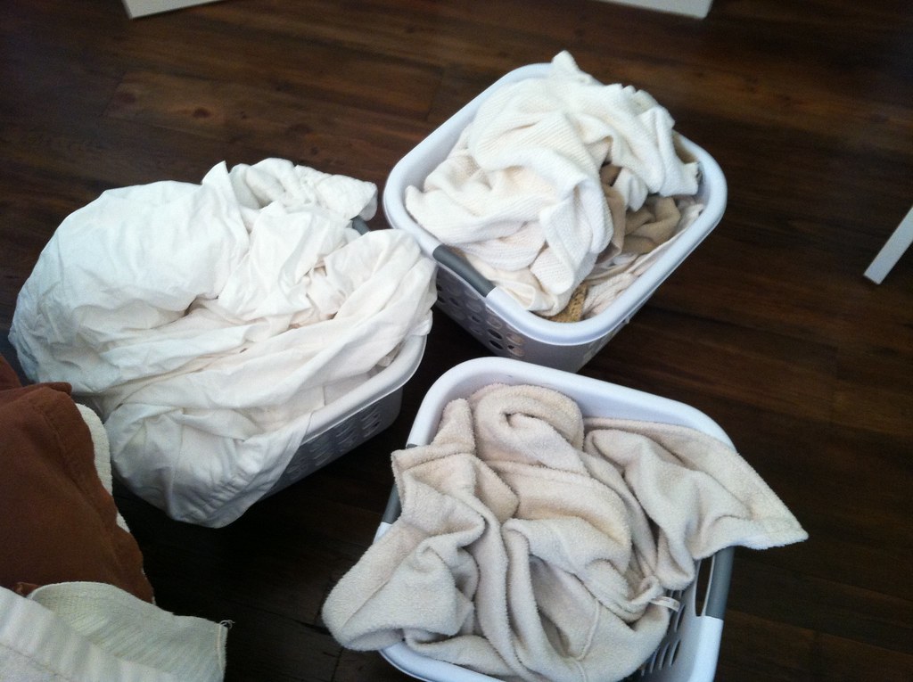 How to Clean Your Dryer Lint Trap Andrea Dekker
