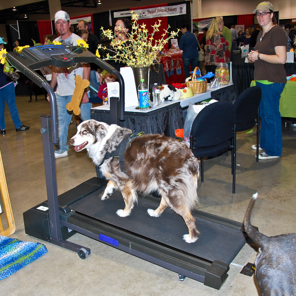 Pet Expo 2012 Las Vegas TDelCoro Tomás Del Coro Flickr