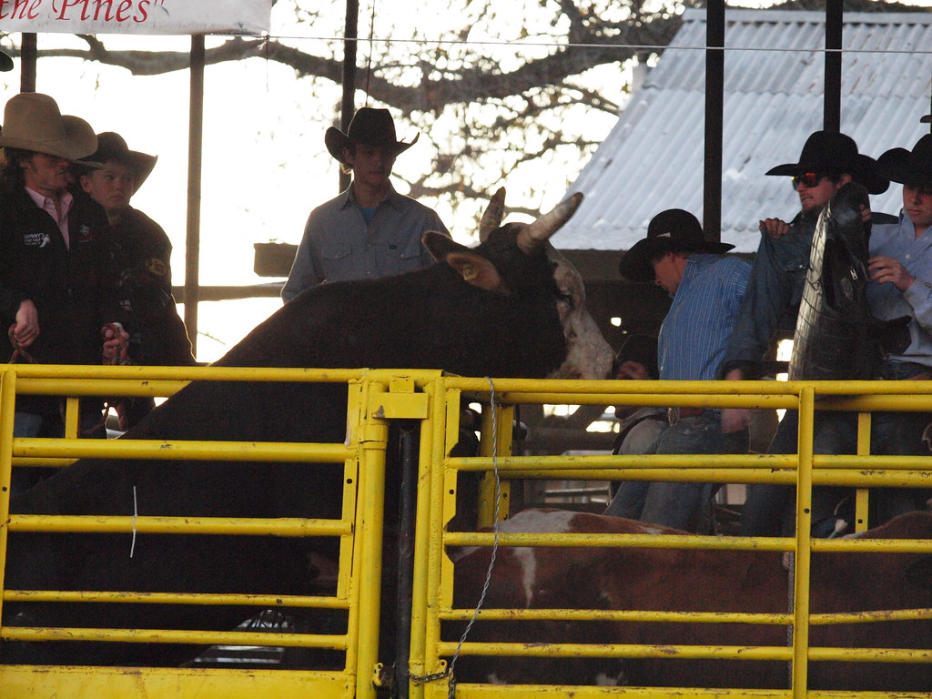 New Waverly Texas The Pitchin N the Pines New Years eve Bu… Flickr