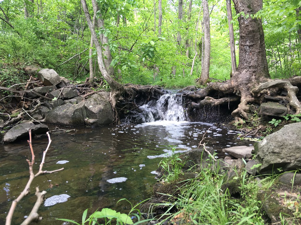 Frying Pan Park Hiking Hiking in Frying Pan Park located i… Flickr