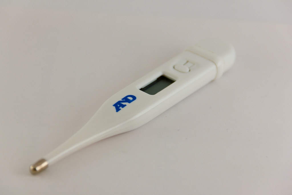 Electronic thermometer Emil . Flickr