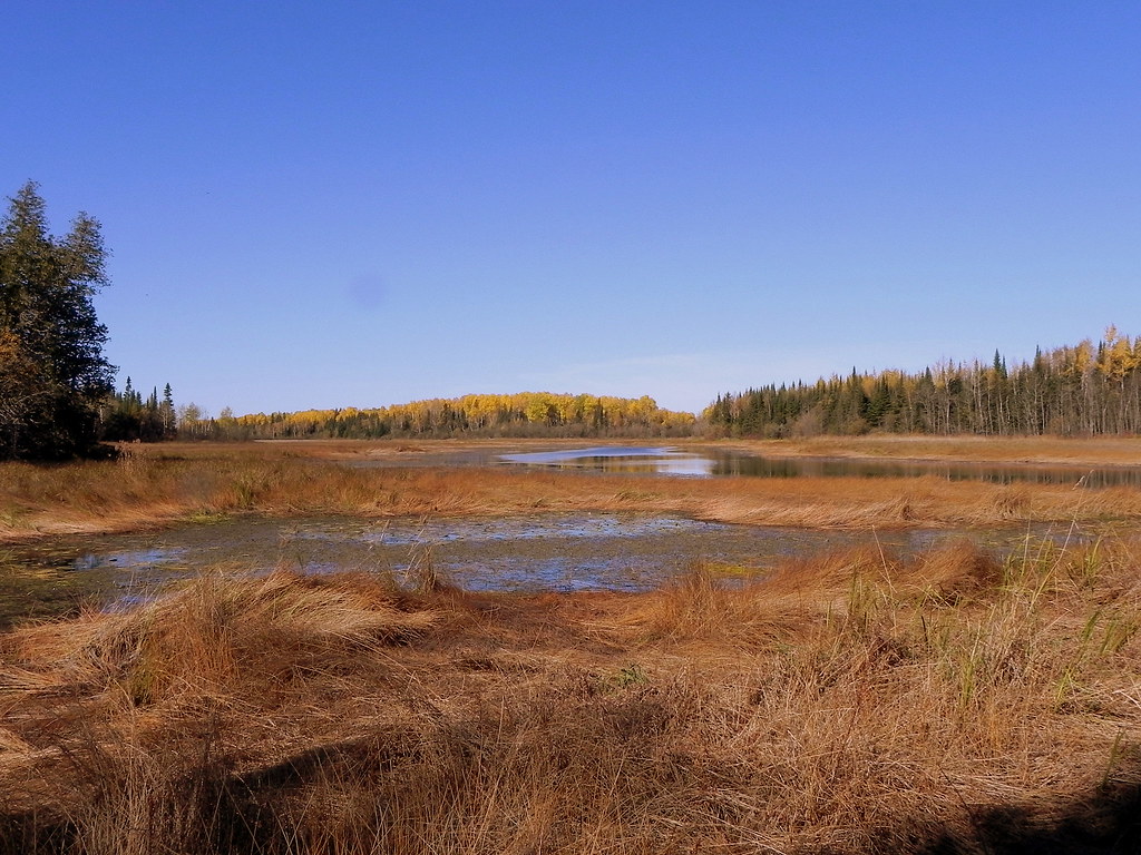 Rivière Piché Prise en Octobre 2011, voici la Rivière Pich… Marie