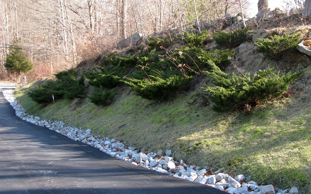 ALONG A DRIVEWAY..... Runs a white rock drainage ditch wit… Flickr
