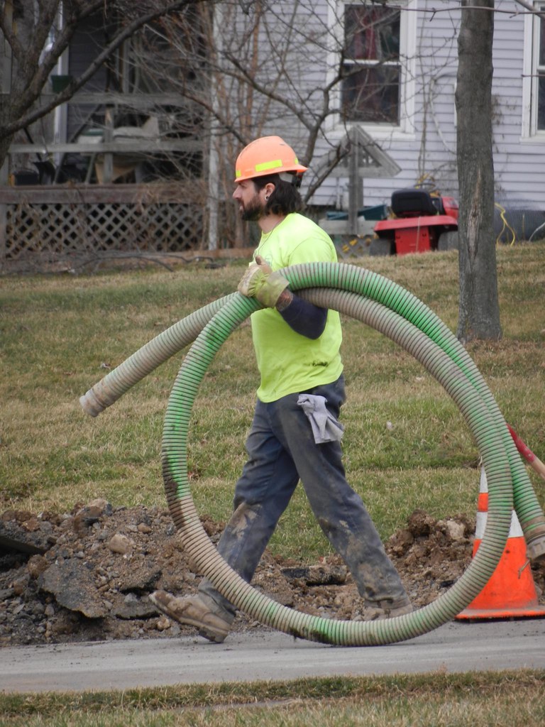 DSCN3376 Savannah New York CAHairyBear Flickr