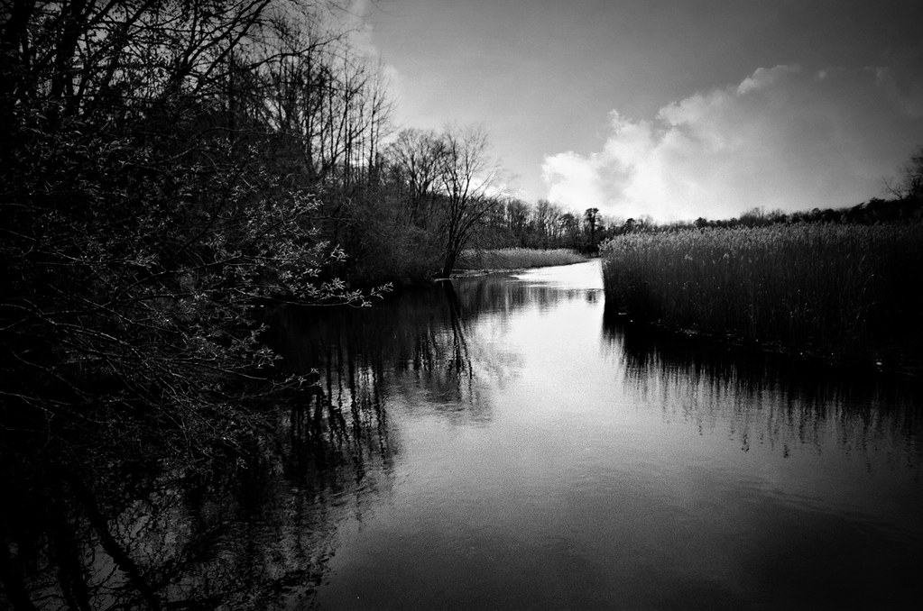 Tuckahoe River South Jersey35mm Nikon FM2 Kodak TMax 400… David