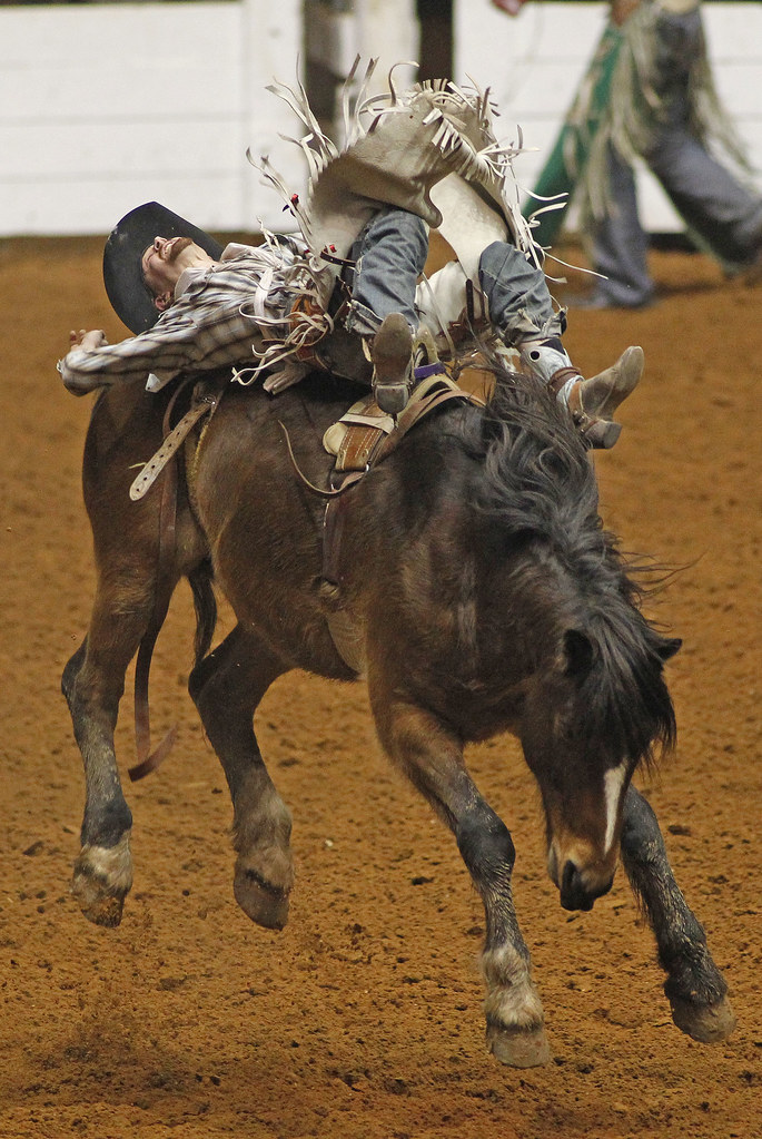 Stock Show Rodeo 0127 05 Troy Vaira aboard "Wolverine" rid… Flickr