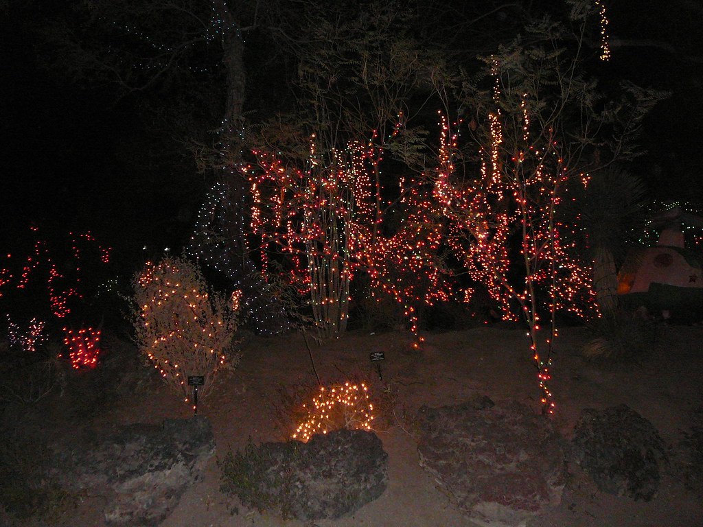 P1040343 Ethel M Cactus Gardens, Christmas lights, Dec. 29… Flickr