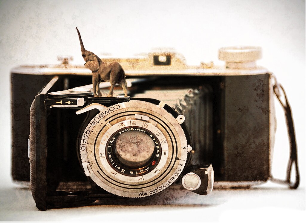 Vintage camera thethreesisters Flickr