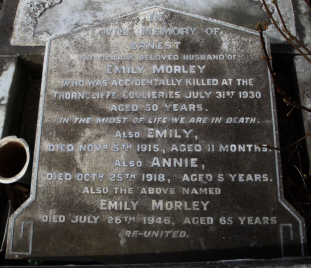 [10360] Burncross Cemetery killed at the Thorncliffe Col… Flickr