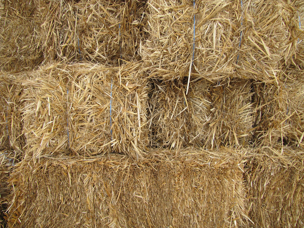 Stacked Straw Bales Strawbale House Build in Redmond Wes… Flickr