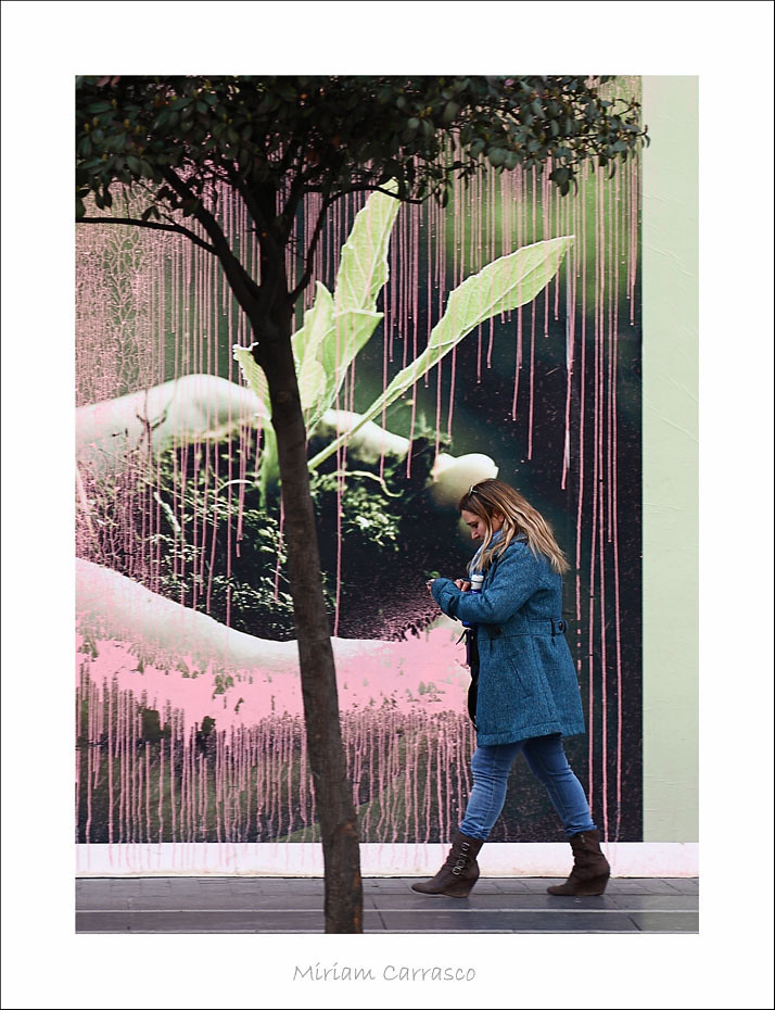 Como lágrimas en la lluvia/ Like tears in the rain Flickr